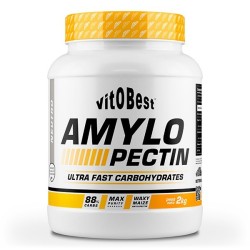 AMILOPECTINA VITOBEST 2KG