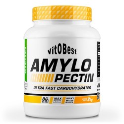 AMILOPECTINA VITOBEST 2KG